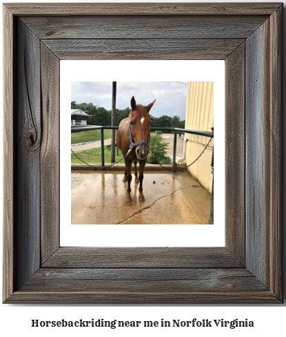 horseback riding near me in Norfolk, Virginia